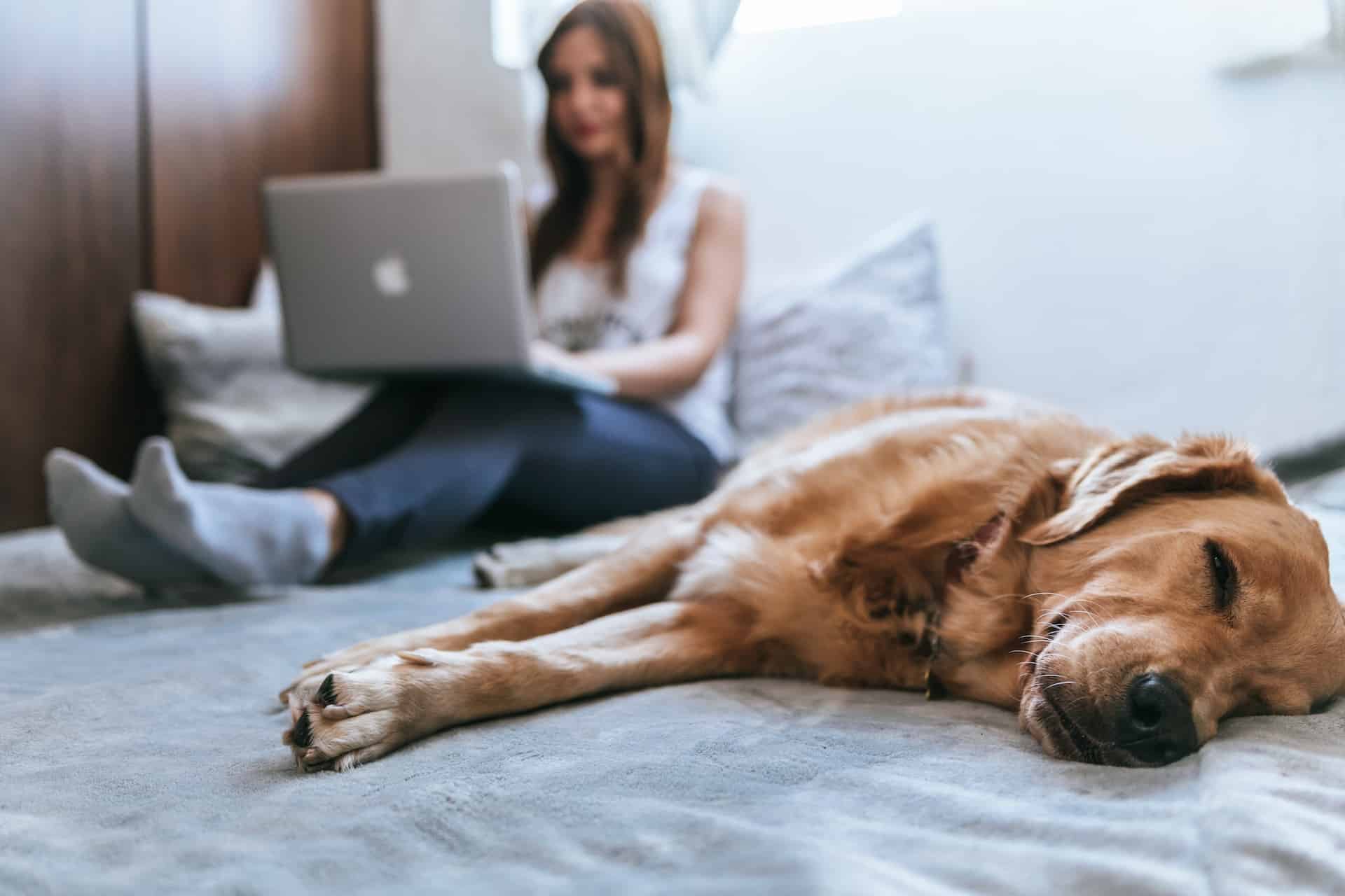 Est-ce que c’est bon de dormir avec son chien ?